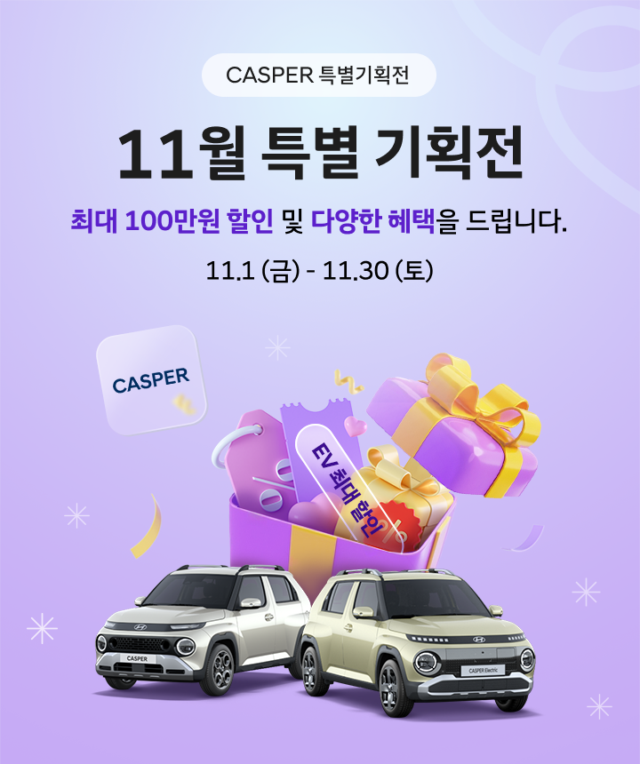 11월 최대 100만원 할인 혜택